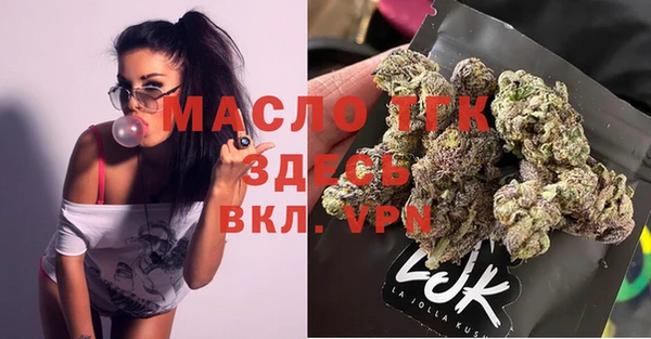 молекула духа Балахна