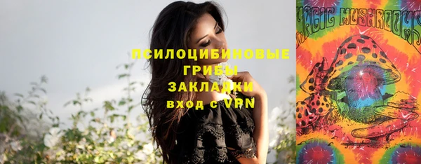 молекула духа Балахна