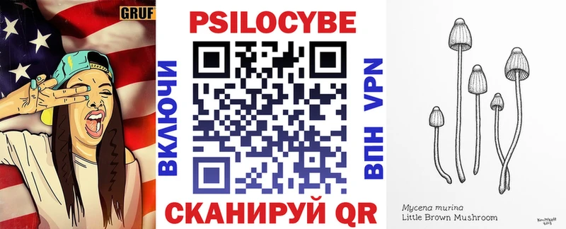Купить  Тейково  Псилоцибиновые грибы прущие грибы 